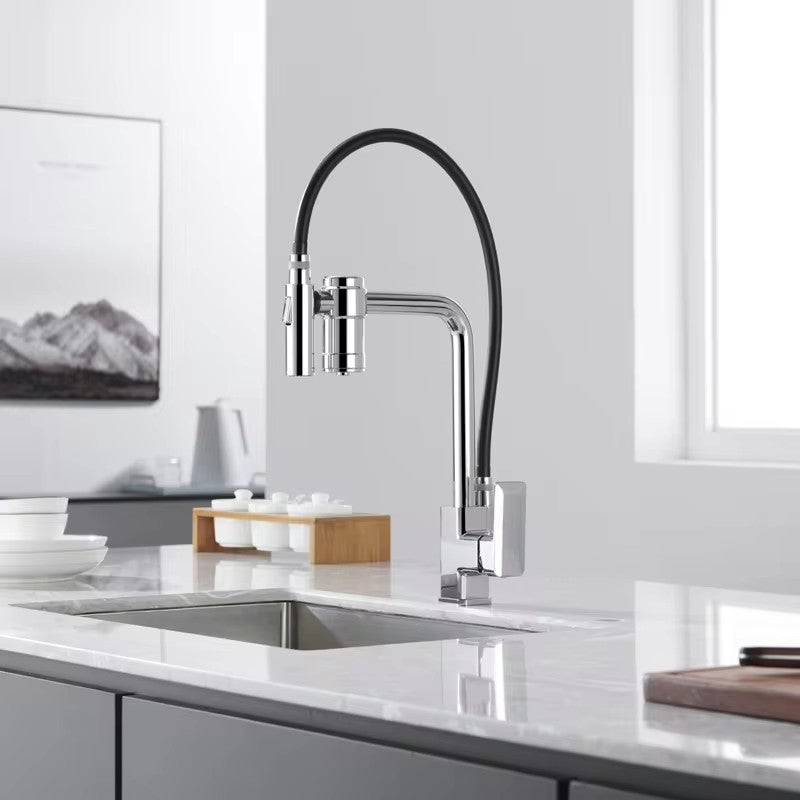 Torneira Gourmet para Cozinha Monocomando Guindaste com Filtro