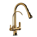 Torneira Atenas Gourmet Dupla Função Monocomando com Filtro