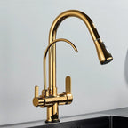 Torneira Atenas Gourmet Dupla Função Monocomando com Filtro