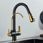 Torneira Atenas Gourmet Dupla Função Monocomando com Filtro