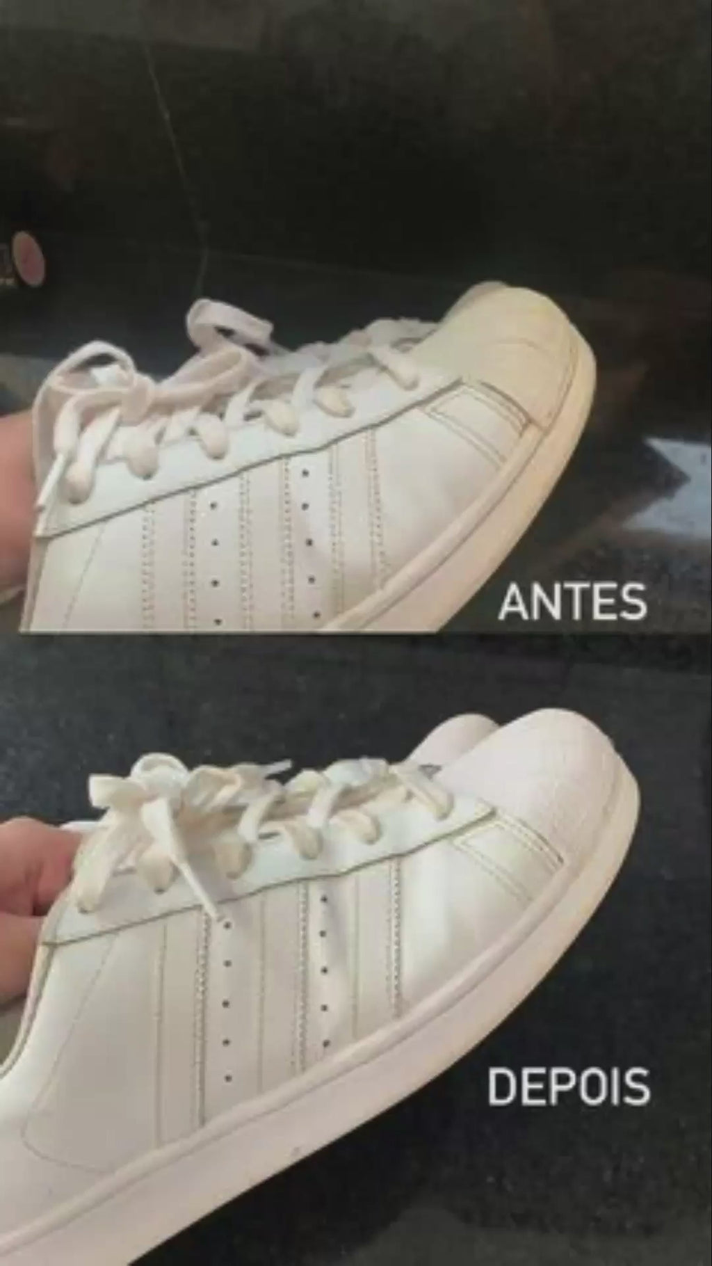 Limpa Tênis North Moon Branco Renovado