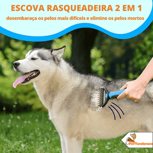 Escova Rasqueadeira Profissional para Cães e Gatos | Pet Desh - Powerstill